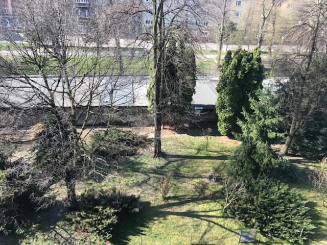 Apartament Gosia Nysa Esterno foto