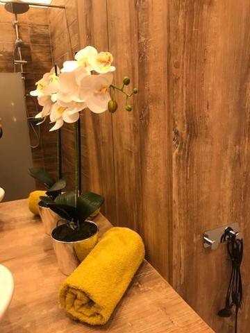 Apartament Gosia Nysa Esterno foto